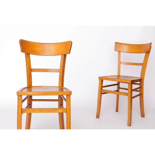 Vintage Frankfurter Dining Chairs in Beech, Germany, 1960s, Set of 4 For Sale - Image 3 of 10