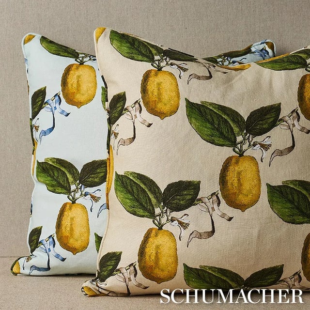 2020s Schumacher x Johnson Hartig Le Citron 20" Pillow in Sky For Sale - Image 5 of 6