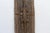 Early 20th Century Rare High Relief Sculptural Crocodile Door For Sale - Image 5 of 6