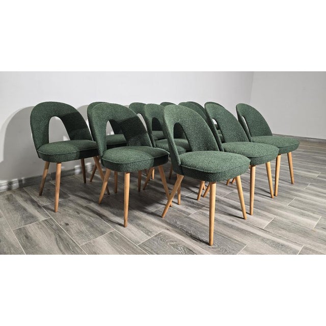 1960s Vintage Dining Chairs by Antonin Suman, 1960s, Set of 12 For Sale - Image 5 of 10