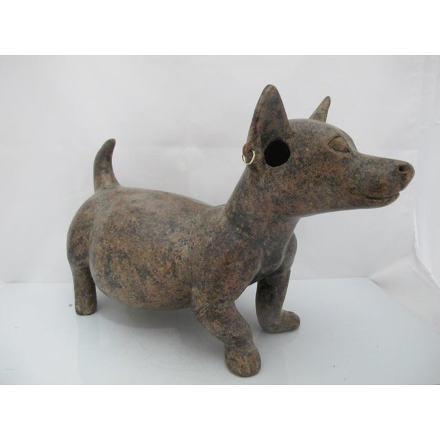 Mexican Large Colima Mexican Pottery Reproduction Plump Dog Statue With Earrings For Sale - Image 3 of 12