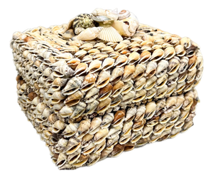 Vintage Coastal Seashell Covered Shell Encrusted Box – Coastal / Tropical