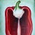 Contemporary original red pepper still life painting on canvas. Signed and framed. Measures 20x24. Check out my shop...