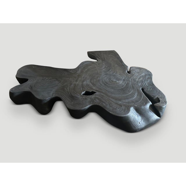 Andrianna Shamaris Amorphous Charred Suar Wood Coffee Table For Sale - Image 17 of 18