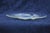 Lalique René Lalique Ondines Opalescent Clear Glass Swimming Mermaids French Dish Plate For Sale - Image 4 of 9