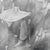 This is a one of a kind original abstract graphite drawing on paper by Southern California artist, Daniel Ketelhut. Its...