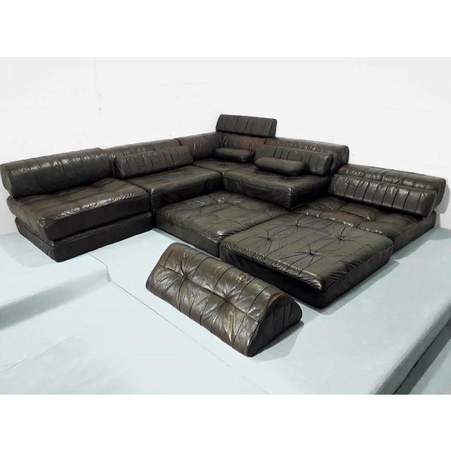 Mid-Century Modern Modular DS-88 Sofa in Leather from de Sede, 1960, Set of 27 For Sale - Image 3 of 9