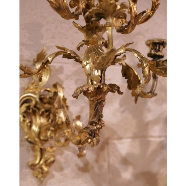 Pair of 19th Century French Louis XV Rococo Bronze Dore Eight-Light Wall Sconces For Sale - Image 11 of 13