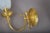 Brass Wall Sconces with Frosted Textured Tulip Glass Shades, 1950s, Set of 2 For Sale - Image 11 of 15