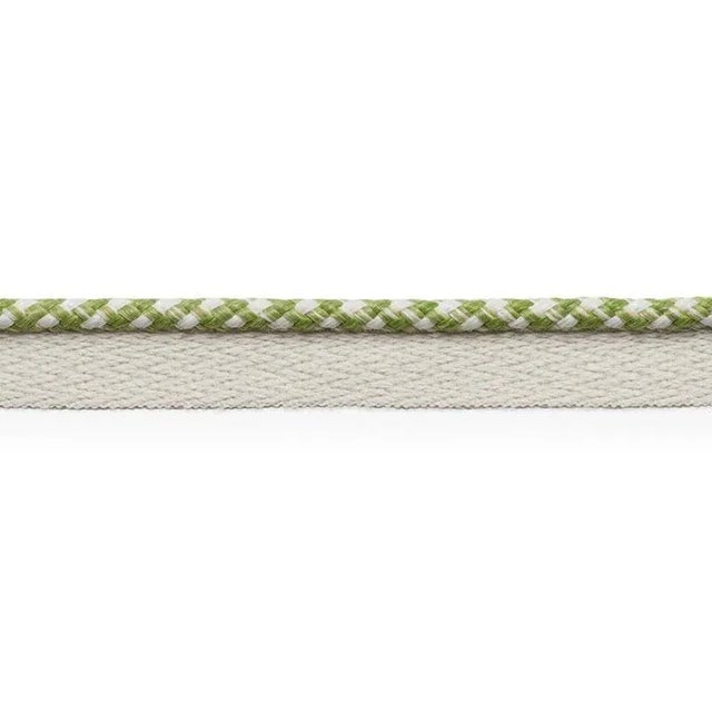 Sample - Schumacher Keaton Lip Cord Indoor & Outdoor in Leaf For Sale