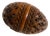 Hand Carved Coquilla Nut Box, 19th Century For Sale