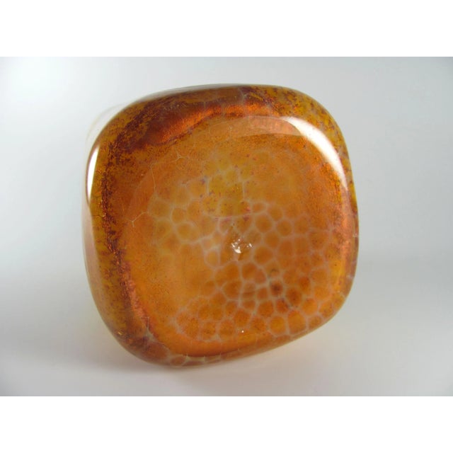 Glass Biomorphic Sea Creature Fossil Citrine Hand Blown Glass Square Vessel Vase Cache Pot by Kenny Walton For Sale - Image 7 of 9
