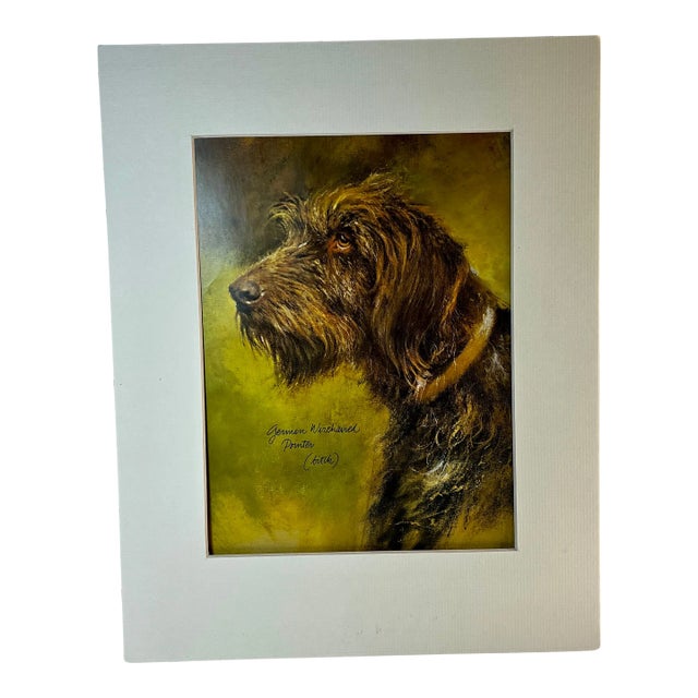 1980s Vintage German Wirehaired Pointer Dog Print For Sale