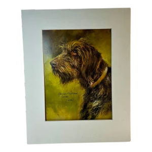 1980s Vintage German Wirehaired Pointer Dog Print