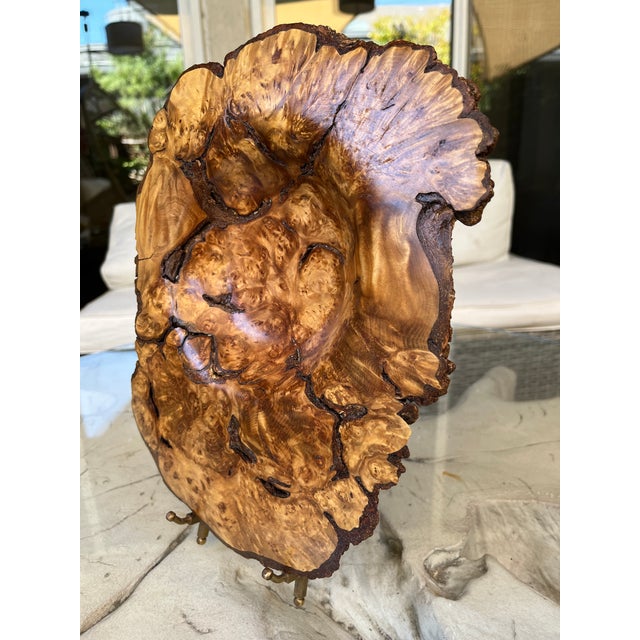 Contemporary Organic Modern Hand-Turned Natural Edge Sugar Maple Burl Centerpiece Bowl - 12.5x9.5 Inches For Sale - Image 3 of 12
