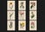 An exceptional collection of nine original copper engravings by William Curtis, circa 1800, beautifully presented in...