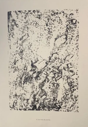 Jean Dubuffet - Stones Nests - Original Lithograph - 1959