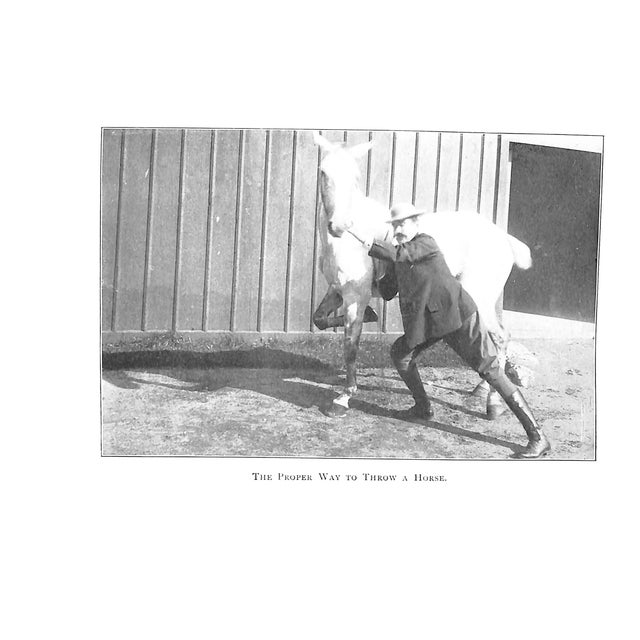 Paper "Our Noblest Friend, the Horse" 1903 Ware, Francis M For Sale - Image 7 of 11