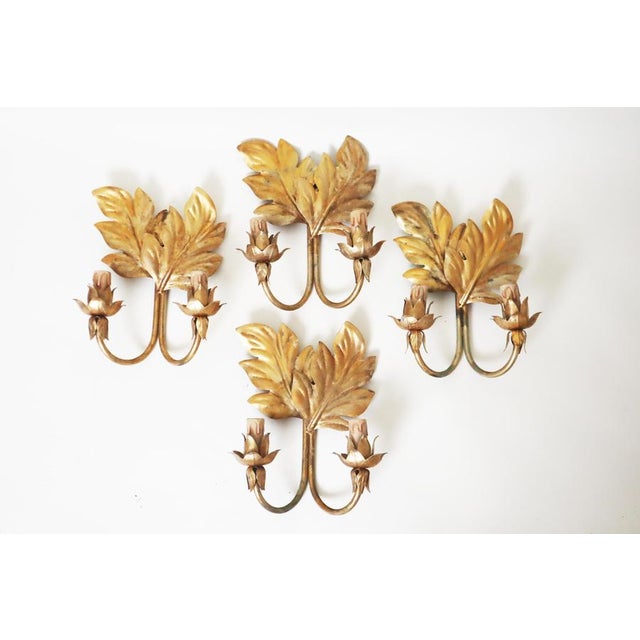 Hollywood Regency Gilt Acanthus Leaf Wall Lights, 1950s, Set of 3 For Sale - Image 16 of 17
