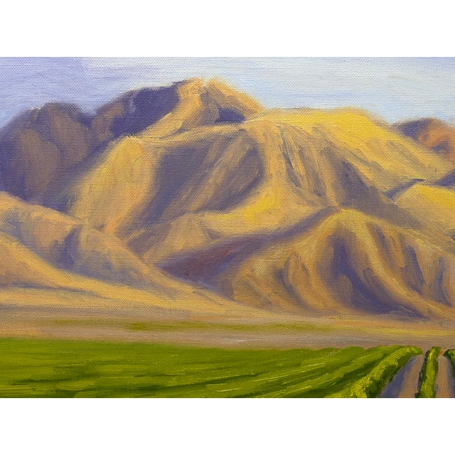 Laurel Sherrie Signed Rancho Sisquoc Flood Family Vineyard Memories of Foxen of Canyon California Oil Painting 2005 Framed Santa Barbara County For Sale - Image 14 of 18
