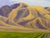 Laurel Sherrie Signed Rancho Sisquoc Flood Family Vineyard Memories of Foxen of Canyon California Oil Painting 2005 Framed Santa Barbara County For Sale - Image 14 of 18