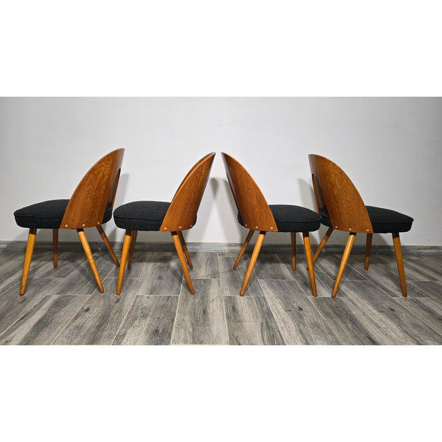 Black Dining Chairs by Antonin Suman, 1960s, Set of 4 For Sale - Image 8 of 18