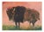 Monika Rossa, Bison, 2026, Oil on Canvas For Sale
