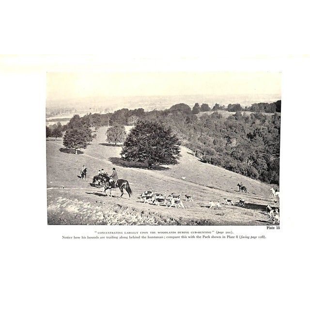 "To Hunt the Fox" Brock, David m.f.h For Sale - Image 9 of 10