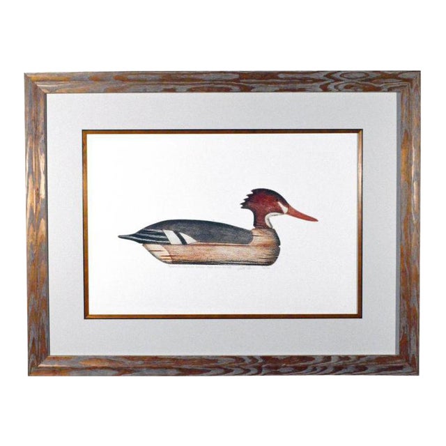 Arthur Nevin Red-Breasted Merganser Duck Decoy Print For Sale