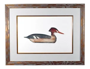 Arthur Nevin Red-Breasted Merganser Duck Decoy Print