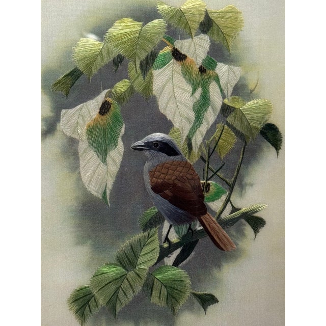Chinoiserie Late 20th Century Museum-Grade Masterpiece Artall Suzhou "Su" Hand-Embroidered Fine Silk Shrike Study (Boxed & Signed) For Sale - Image 3 of 14