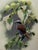 Chinoiserie Late 20th Century Museum-Grade Masterpiece Artall Suzhou "Su" Hand-Embroidered Fine Silk Shrike Study (Boxed & Signed) For Sale - Image 3 of 14