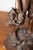 Metal 19th Century French Statuette For Sale - Image 7 of 12