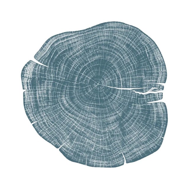 Contemporary Stump 1 - Variation 5 by Trinette + Chris Print with Black Frame - 50 X 50 For Sale - Image 3 of 3