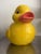 An oversized sculptural take on the classic yellow bath duck — hand-painted molded fiberglass or resin, standing roughly...