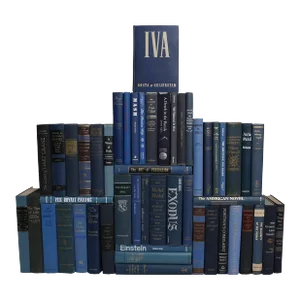 Decorative Books - Vintage Denim Book Wall - Set of 50 Blue Books