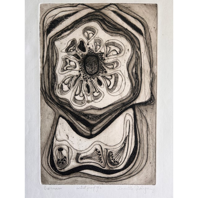 This is a fantastic original artist's proof etching by listed Belgian-American artist Annette Robyns (1926-2008). Robyns...
