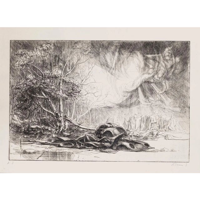 Riccardo Tommasi Ferroni, Nature Prevails, 1970s, Etching For Sale