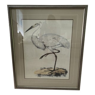 Framed White Bird Print With Gray Mat For Sale
