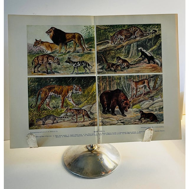 1917 Apollo Music Stand For Sale - Image 9 of 11