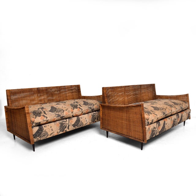 Magnificent Cane Loveseat Sofa by Arturo Pani Mexican Modernism 1960s