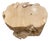 Andrianna Shamaris Organic Bleached Teak Wood Coffee Table or Side Table For Sale