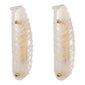 Shop Dlight Chandelier and Decor