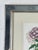 Hollywood Regency Vintage Trowbridge Custom Framed Botanical Print “Phlox” After Louis Van Houtte (1810–1876) For Sale - Image 3 of 7