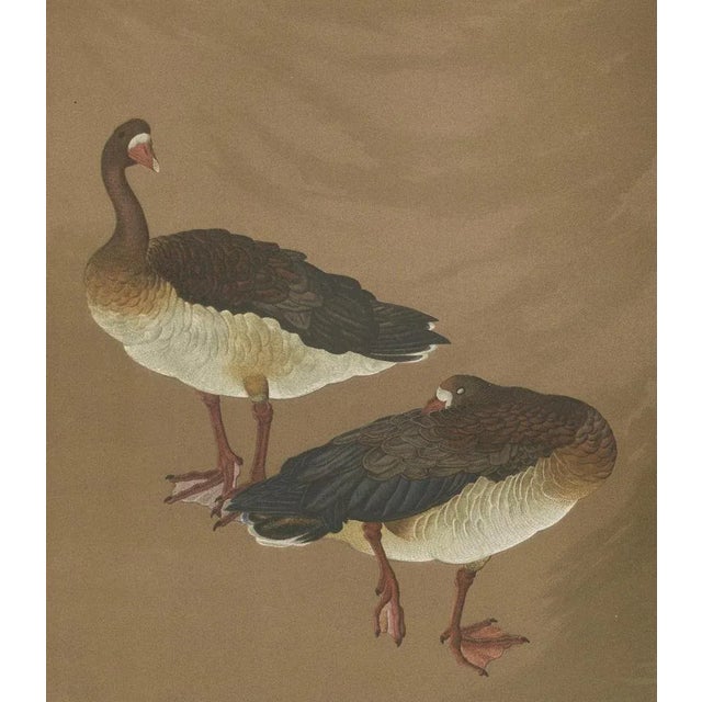 Japanese Geese, 1880s, Lithograph For Sale - Image 6 of 10