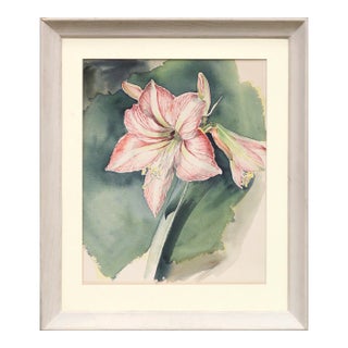 Joseph Yeager Amaryllis Blossom Watercolor Circa 1940-1950 For Sale
