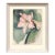 Joseph Yeager Amaryllis Blossom Watercolor Circa 1940-1950 For Sale