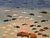 Turkish Vintage Hand-Woven Kilim Area Rug, Pictorial Ocean Scene Wall Art, 41” x 55” For Sale - Image 3 of 15