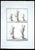 Unknown, Ancient Roman Statues, Etching, 1700s For Sale