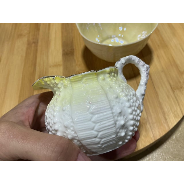 Vintage Irish Belleek Porcelain "Echinus" Sea Urchin Creamer & Sugar Set - 6th Mark For Sale In Chicago - Image 6 of 8